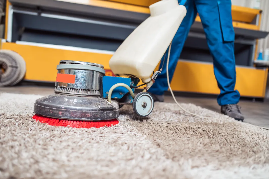 Carpet Cleaning Blaxland