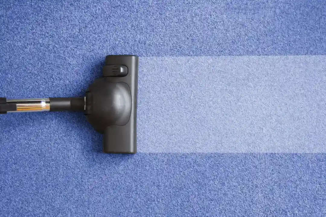 Carpet Cleaning Blackheath