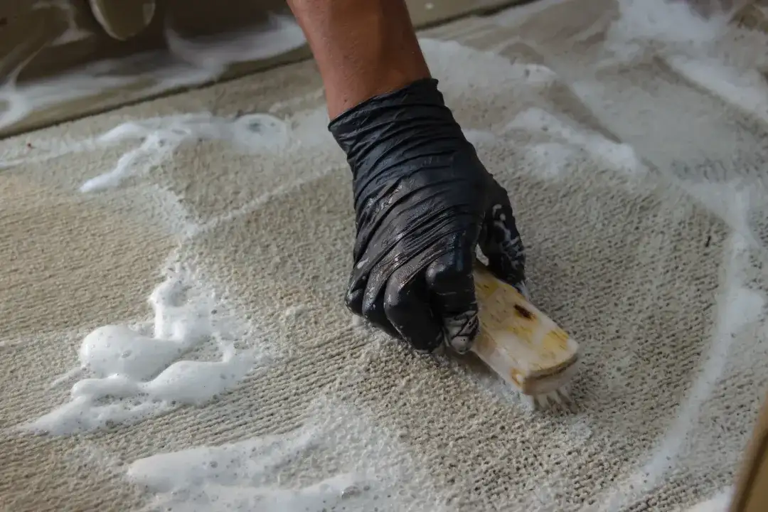 Carpet Cleaning Blackheath